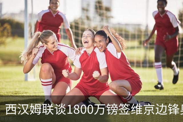 西汉姆联谈1800万镑签维京边锋奥斯博，另报价中日德兰19岁戈戈扎